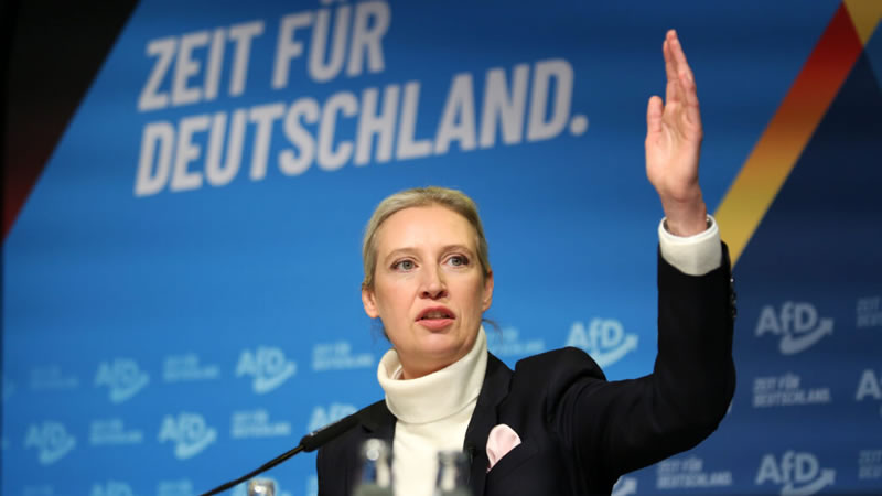 德国右翼政党AfD